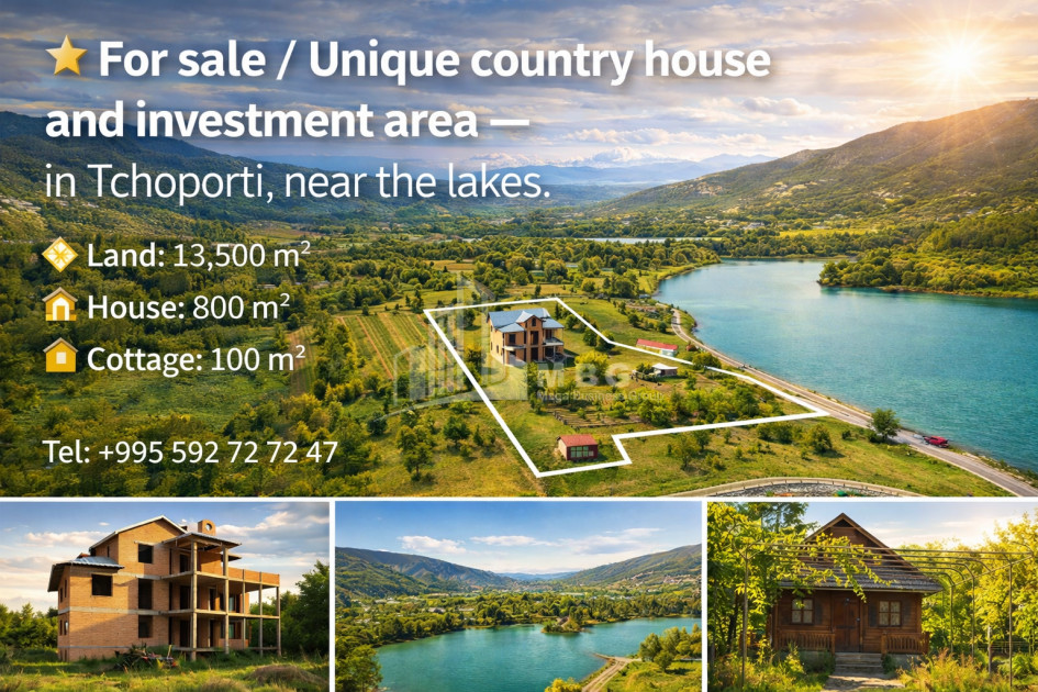 For Sale Old building House - Villa In the Village Choporti, Dusheti