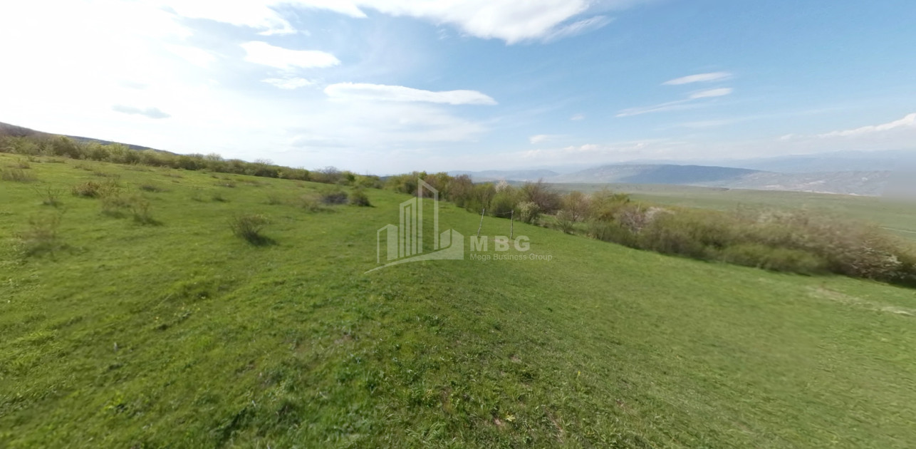 For Sale Land Kavtiskhevi Kaspi Shida Kartli