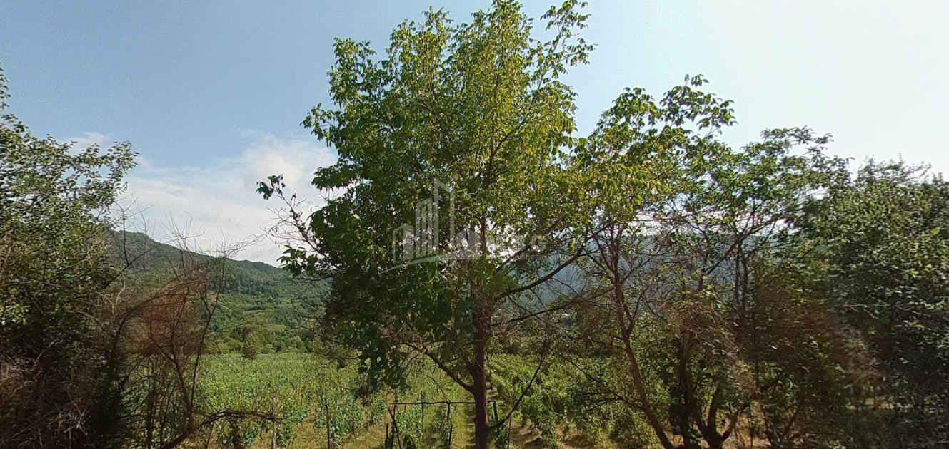 For Sale Land Kvatskhuti Ambrolauri Racha   Lechxumi Kvemo Svaneti