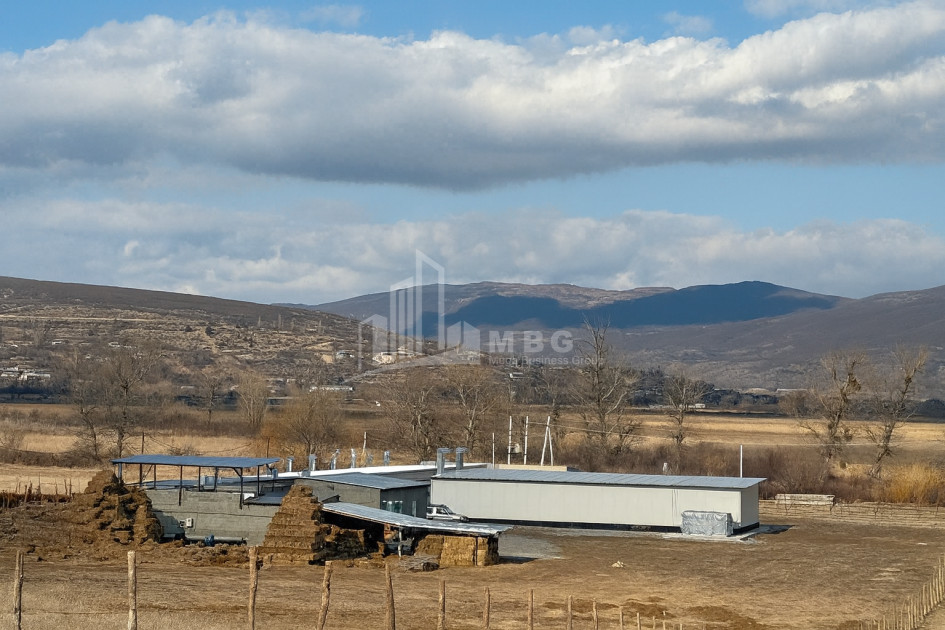 For Sale Commercial Okami Kaspi Shida Kartli