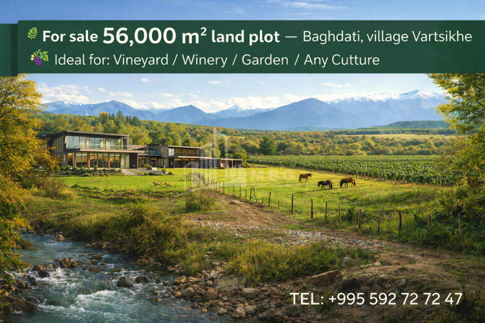 For Sale Land Imereti