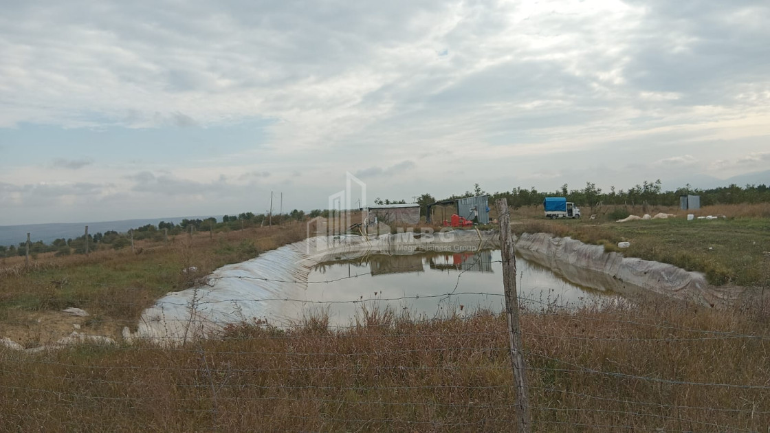 იყიდება მიწის ნაკვეთი ხაშური შიდა ქართლი