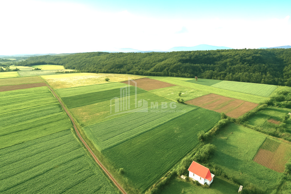 For Sale Land Dusheti Mtskheta   Mtianeti