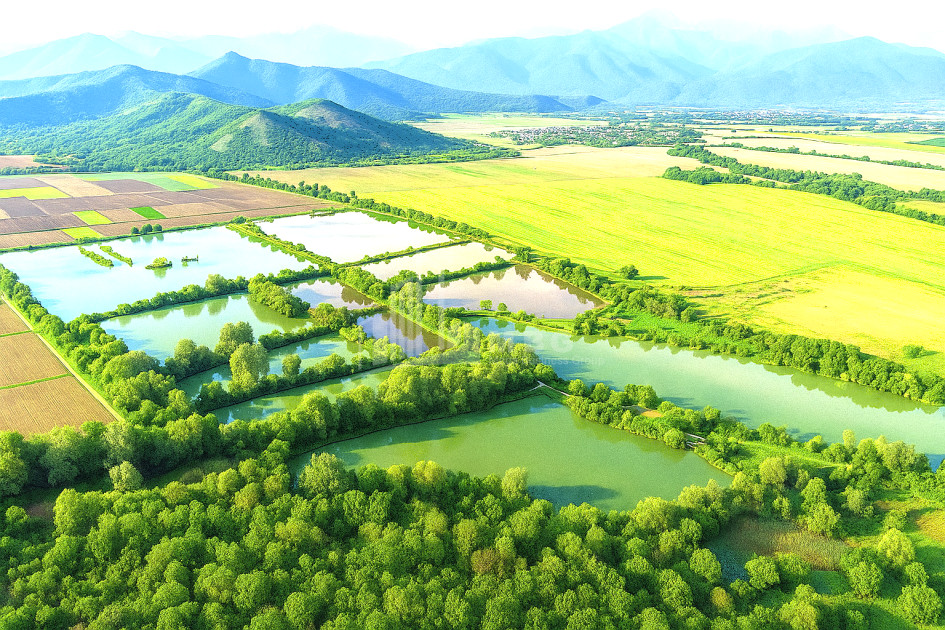 For Sale Land Kvemo Alvani Akhmeta Kakheti