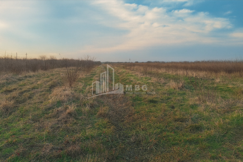 For Sale Land Kvemo Shukhuti Lanchkhuti Municipalities of Guria