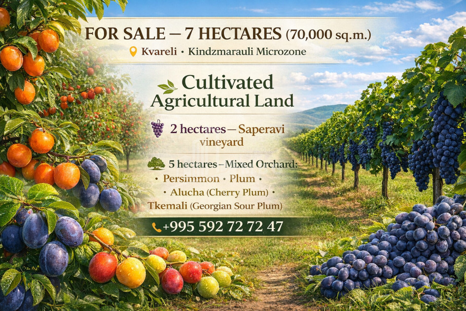For Sale Orchards Land In Kvareli