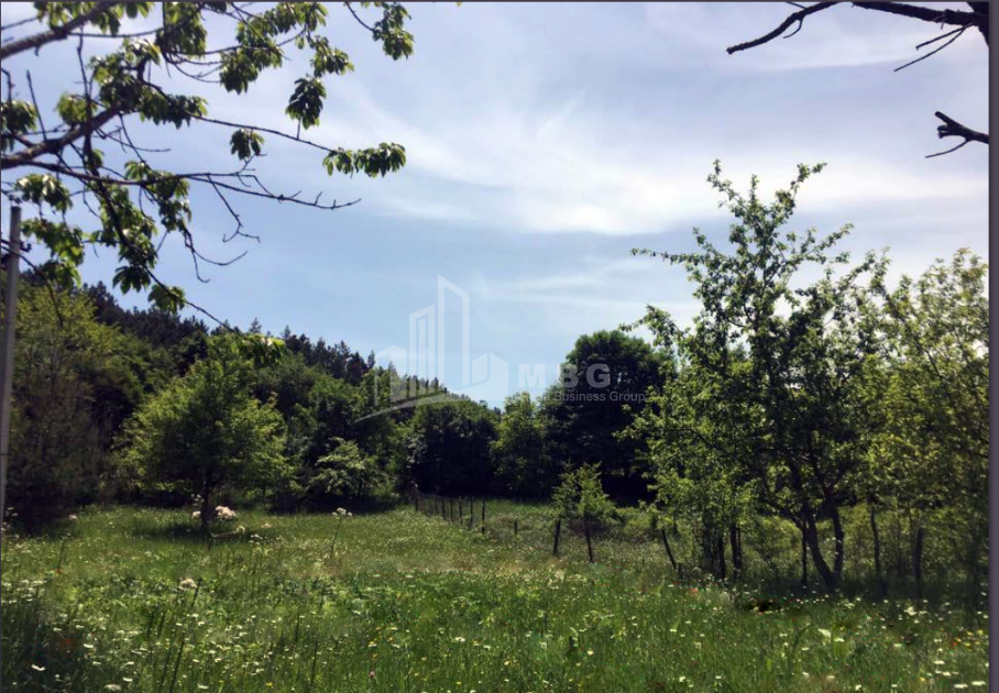 Продается Дачные Земля, в Бетаниа