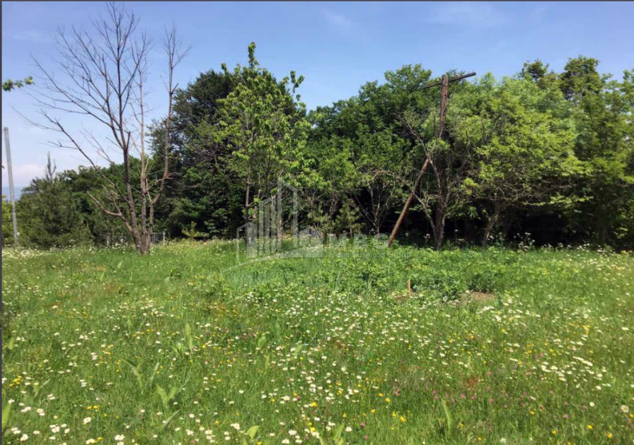 Продается Дачные Земля, в Бетаниа