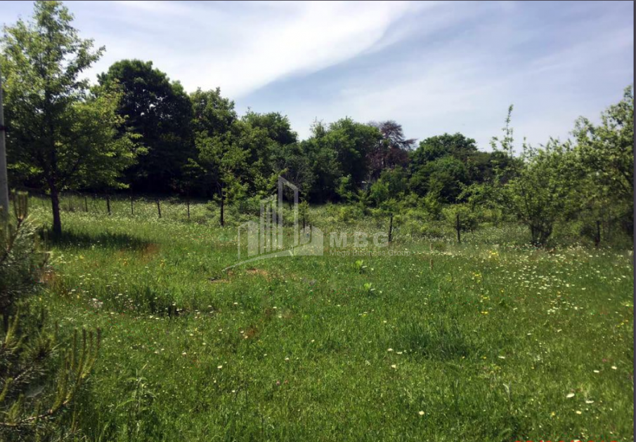 Продается Дачные Земля, в Бетаниа