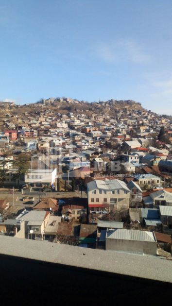 For Sale Flat, in Nadzaladevi