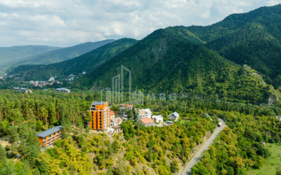 იყიდება კომერციული ფართი ლიკანი ბორჯომი სამცხე   ჯავახეთი