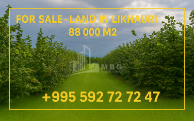 Продается-Земля-Лихаури-Озургети-Муниципалитеты-Гурии