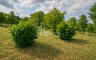 For Sale Country Land In Lamiskana, Kaspi