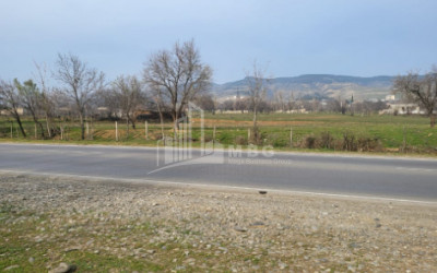 იყიდება მიწის ნაკვეთი ქვემო თელეთი გარდაბნი ქვემო ქართლი