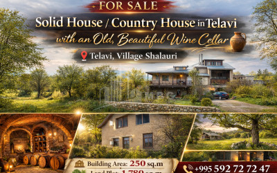 Продается Старое здание Дом - Вилла В Шалаури, Телави