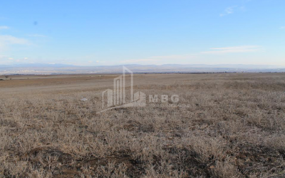 For Sale Orchards Land, in Kvemo Teleti