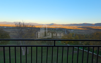 For Sale Commercial Bazaleti Dusheti Mtskheta   Mtianeti