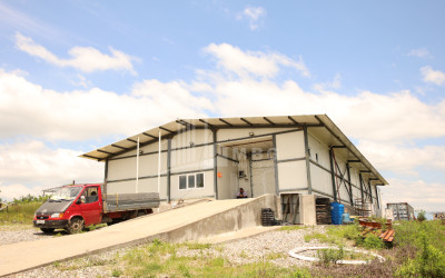 For Sale Orchards Land In Senaki