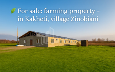 Продается Земля Зинобиани Кварели Кахети
