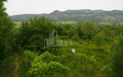 For Sale House Villa Dzegvi Mtskheta Mtskheta   Mtianeti