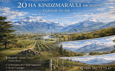 For Sale Vineyard - Chateau Land In Eniseli, Kvareli