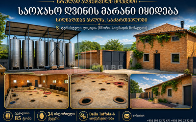 Продается Замок / Винный завод Коммерческий В Сигнаgи