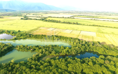 For Sale Land Kvemo Alvani Akhmeta Kakheti