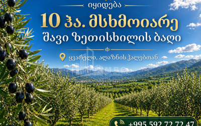 იყიდება ხეხილის ბაღი მიწის ნაკვეთი ყვარელში