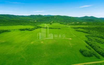 Продается Земля Гомбори Сагареджо Кахети