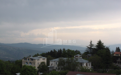 For Sale House - Villa, in Tskneti