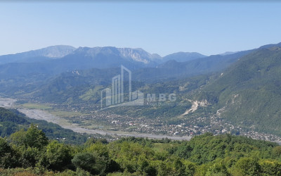 For Sale Country Land, in Orbeti