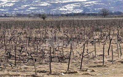 For Sale Land, Akhmeta City, Akhmeta Municipality, Municipalities of Kakheti