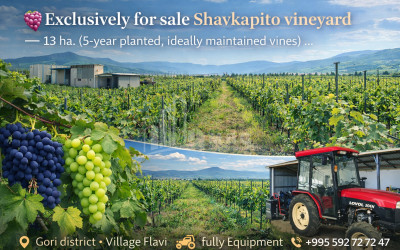For Sale Vineyard - Chateau Land In Gori