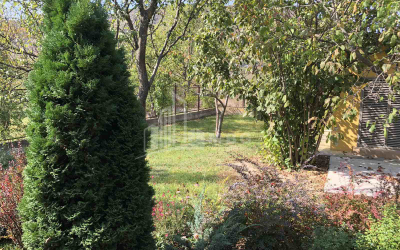 For Sale House - Villa, in Aragvispiri