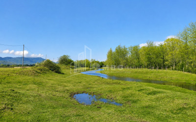 For Sale Orchards Land In Abasha