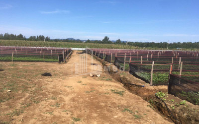For Sale Land Municipalities of Guria
