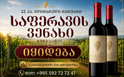 For Sale Vineyard - Chateau Land In Zegaani, Gurjaani