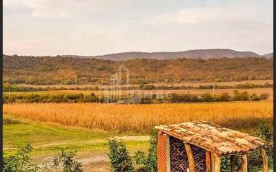 For Sale Land, Zemo Alvani, Akhmeta Municipality, Municipalities of Kakheti