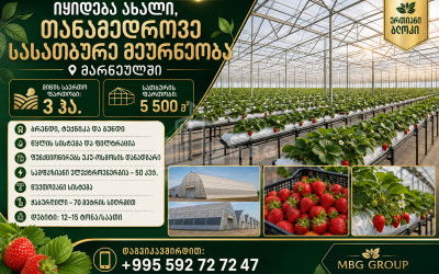 იყიდება სასათბურე მიწის ნაკვეთი მარნეულში