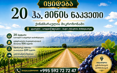 For Sale Vineyard - Chateau Land In Eniseli, Kvareli
