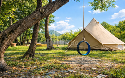 Business for sale Commercial Telavi Kakheti