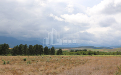 For Sale Country Land, in Daba Surami