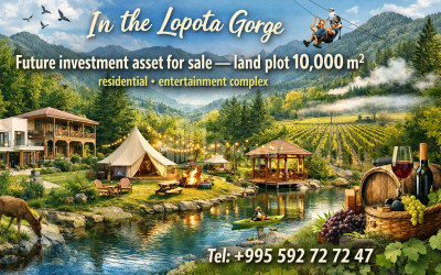 იყიდება ბიზნესი კომერციული ფართი თელავი კახეთი