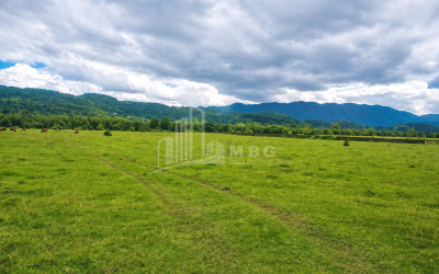For Sale Orchards Land In Abasha