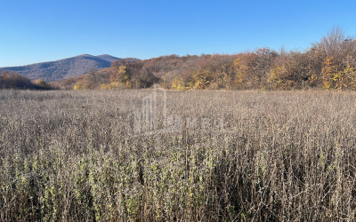 Продается Земля Базалети Душети Мцхета   Мтианети