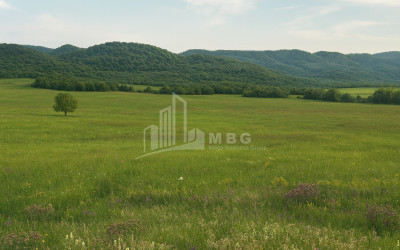 Продается Земля Гомбори Сагареджо Кахети