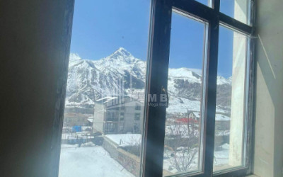 For Sale House Villa Stepantsminda Kazbegi Mtskheta   Mtianeti