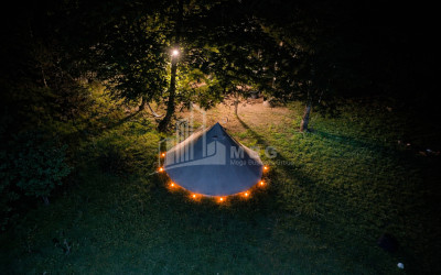 Business for sale Commercial Telavi Kakheti