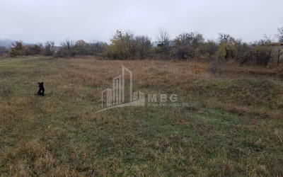 For Sale Country Land, in Tsinamdzgvriantkari