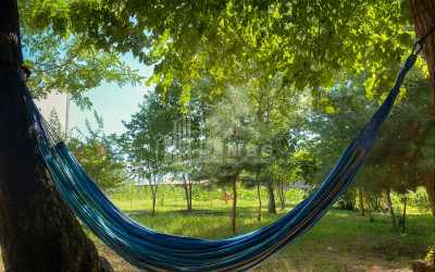 იყიდება ბიზნესი კომერციული ფართი თელავი კახეთი